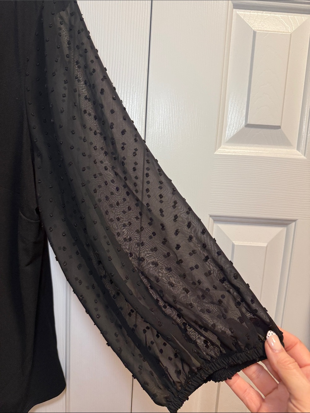 Adrianna Papell Black Scoop Neck Top with Sheer Dot Sleeves - Picture 2 of 4